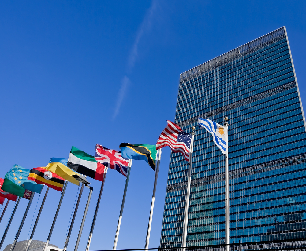 United Nations focuses on how cooperatives contribute to social