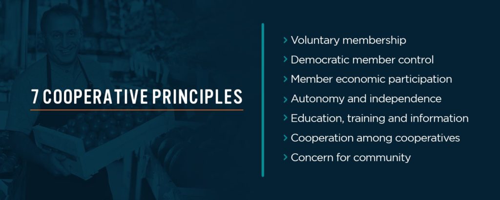 7 Cooperative Principles