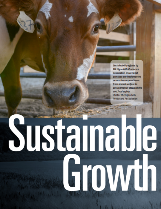 Sustainable Growth