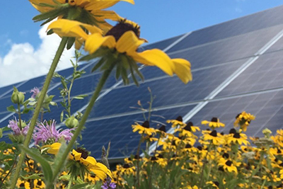 Image depicts solar panels against a blue sky with sunflowers in the foreground. 