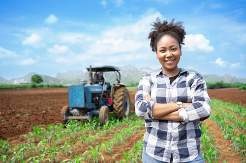 USDA beginning farmers 500x333 1