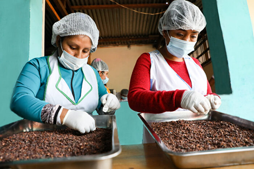 dulce esperanza coffee beans 500x333 1