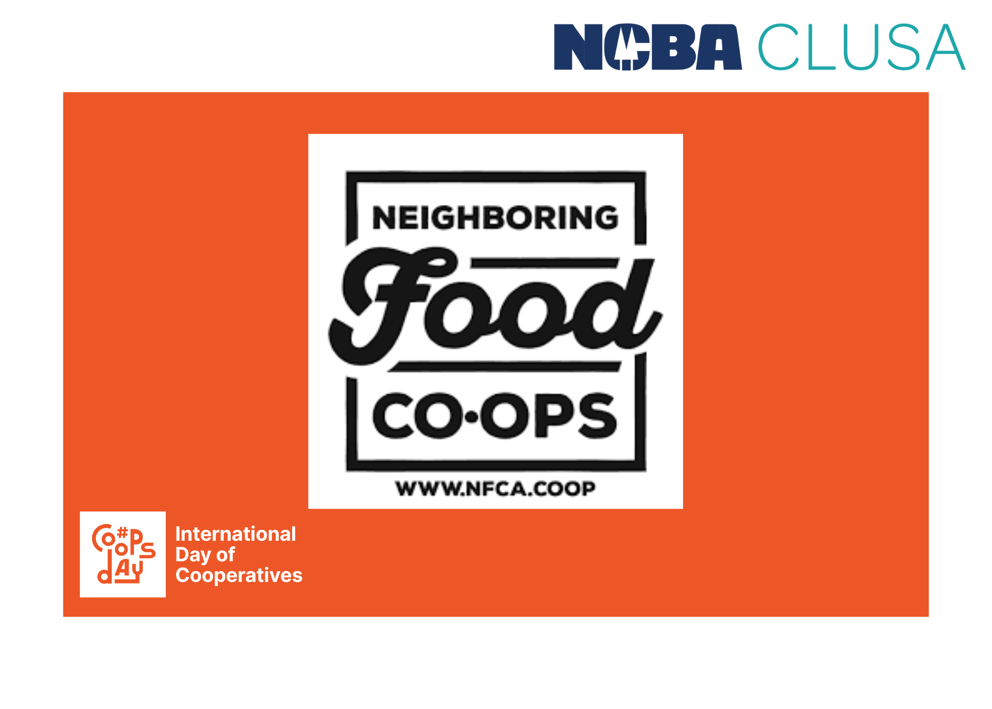 Celebrating the power of cooperatives to build a more sustainable