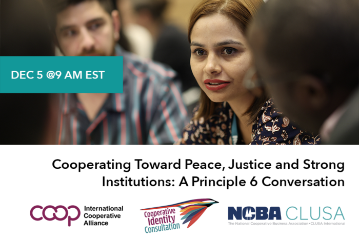 New Webinar: How Co-ops Can Promote Peaceful, Just And Inclusive ...