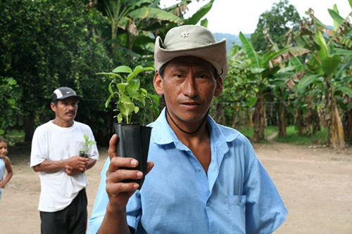 National Co+op Grocers’ Co+op Forest carbon offset initiative in Peru is just one of the innovative ways cooperative businesses are working to mitigate climate change. [photo courtesy Pur Projet]