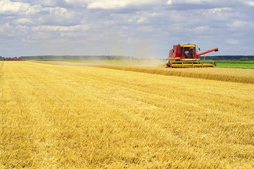 The Senate overwhelmingly passed the 2018 farm bill Tuesday afternoon. The legislation now goes to the House. 